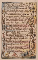 Lieder der Unschuld und der Erfahrung, Platte 54, Der Schuljunge (Bentley 53)